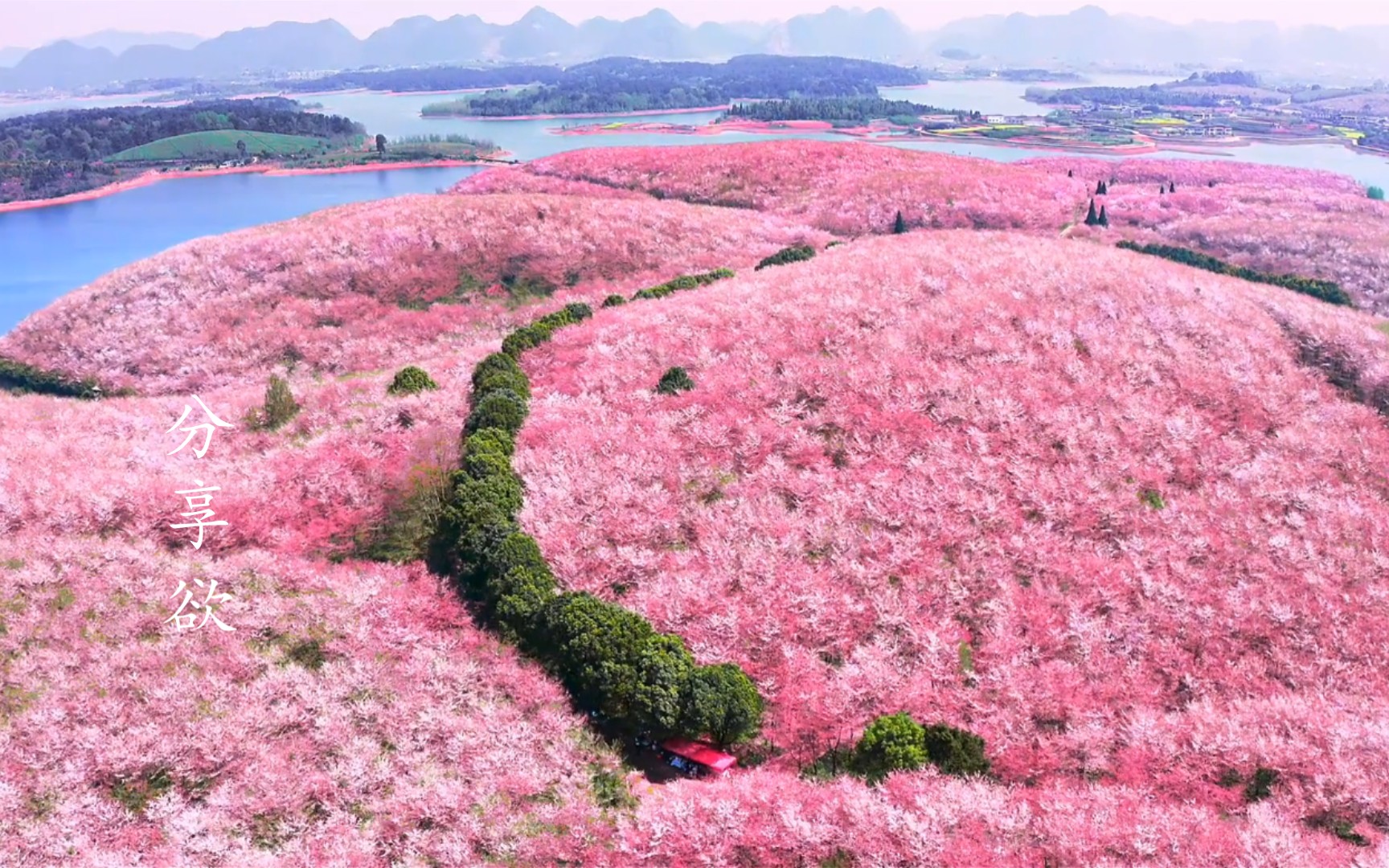 [图]别来几春未还家，玉窗五见樱桃花。