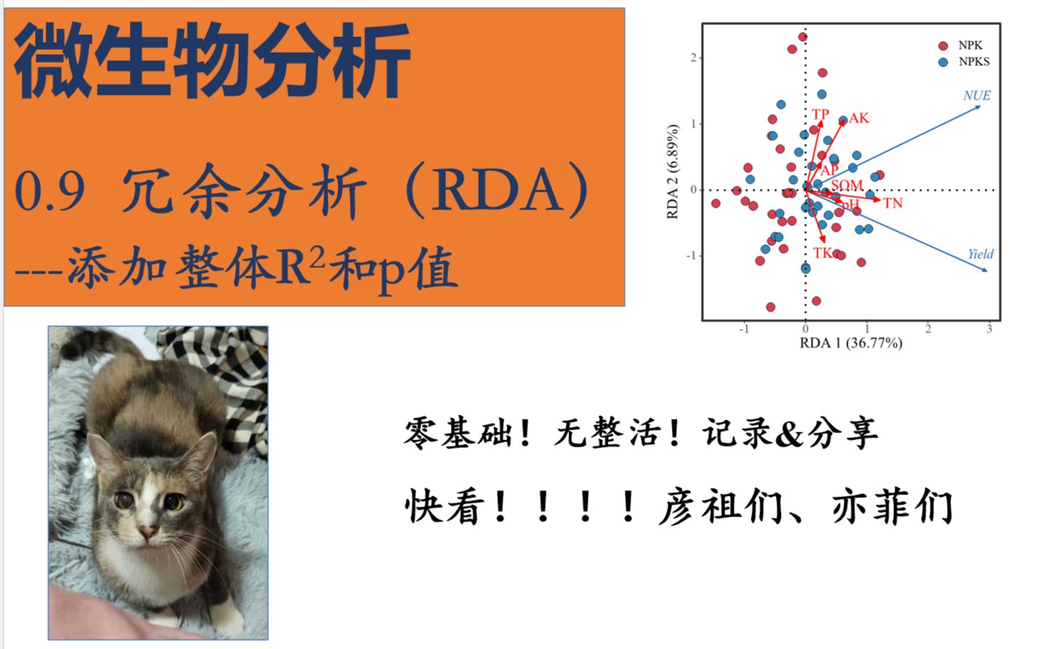 微生物分析|冗余分析(RDA)Canoco5补充:添加总体P值哔哩哔哩bilibili