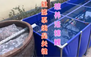 下载视频: 要想养活养好锦鲤，关键是做好鱼池过滤系统