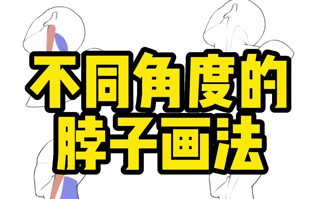 不同角度的脖子画法哔哩哔哩bilibili