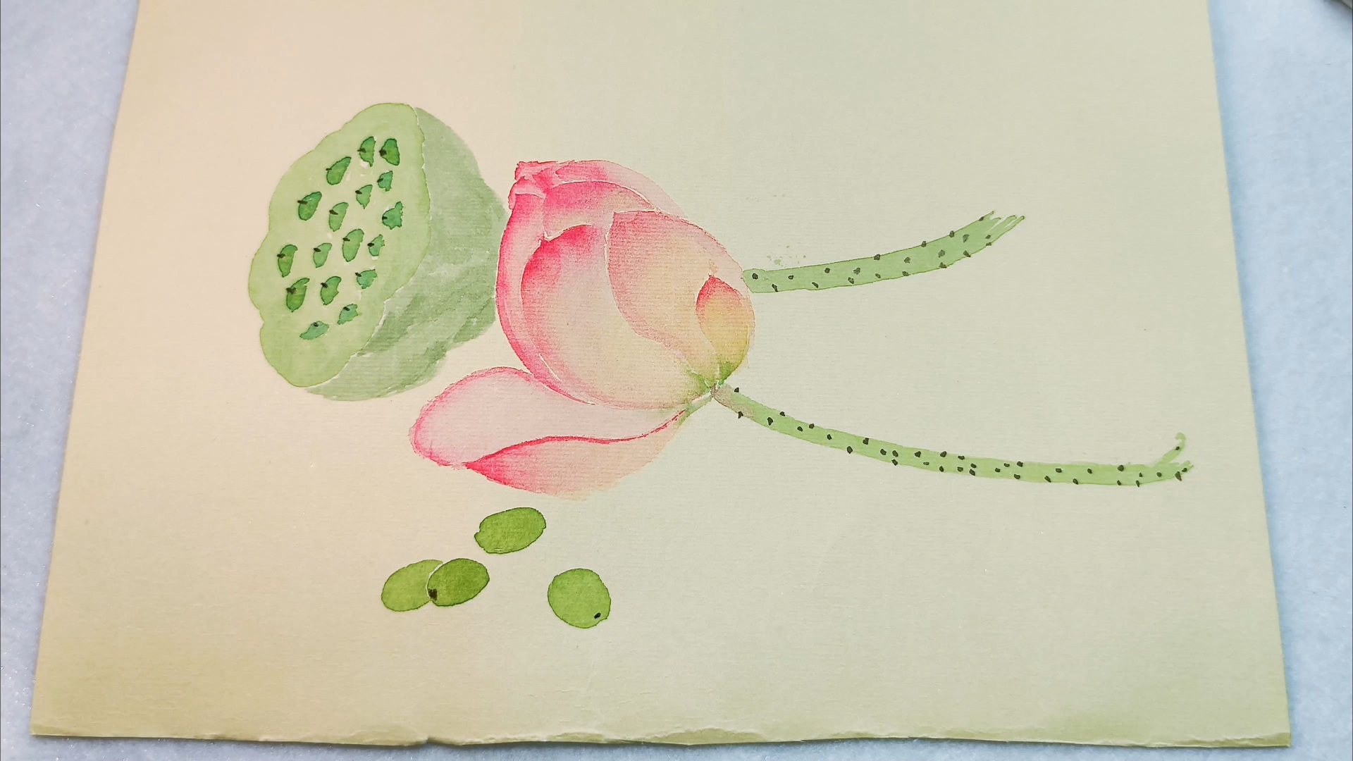 荷花和莲蓬,今天画夏季永远不过时的主题