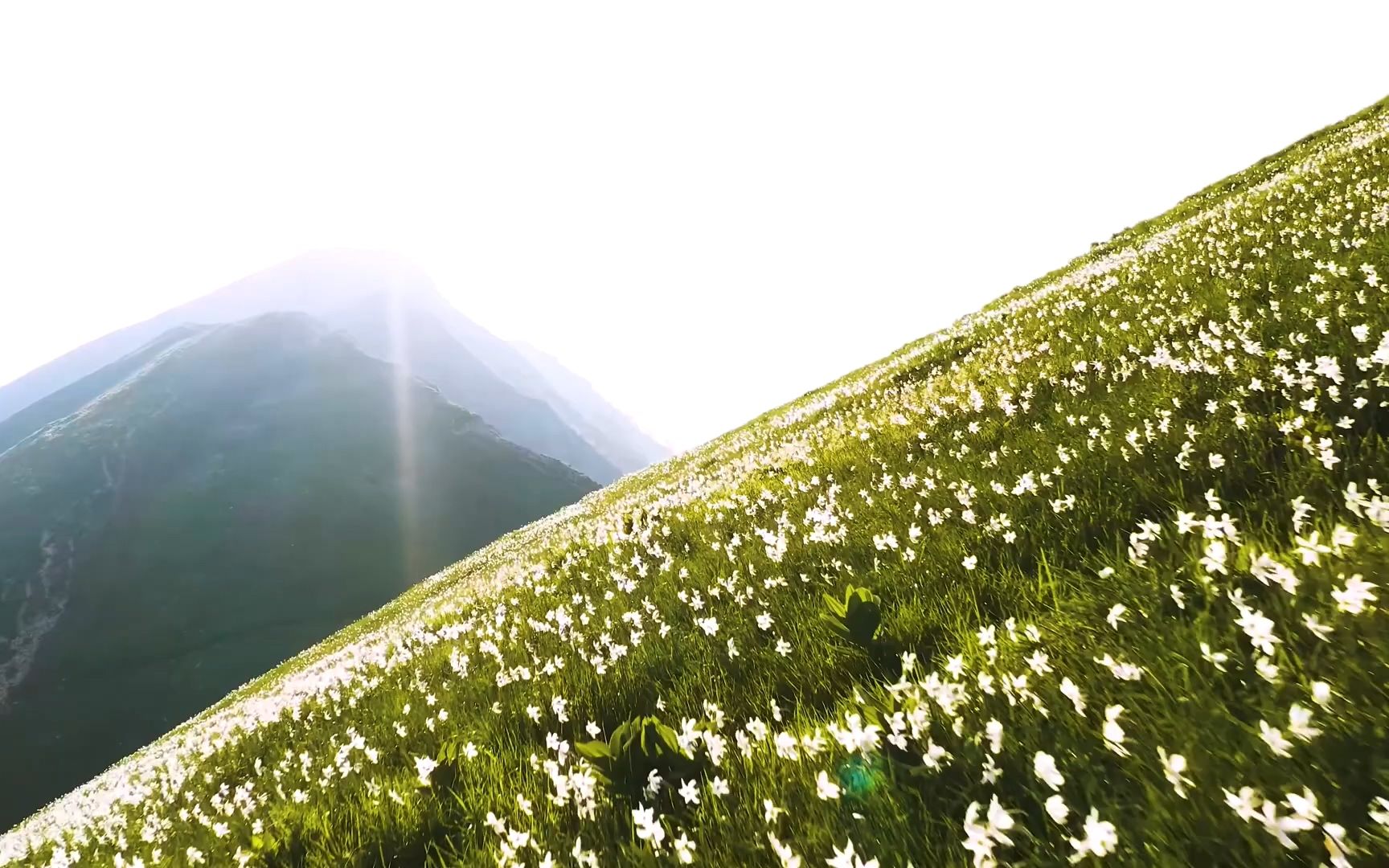 [图]航拍阿尔卑斯雪山，花海，森林，草原