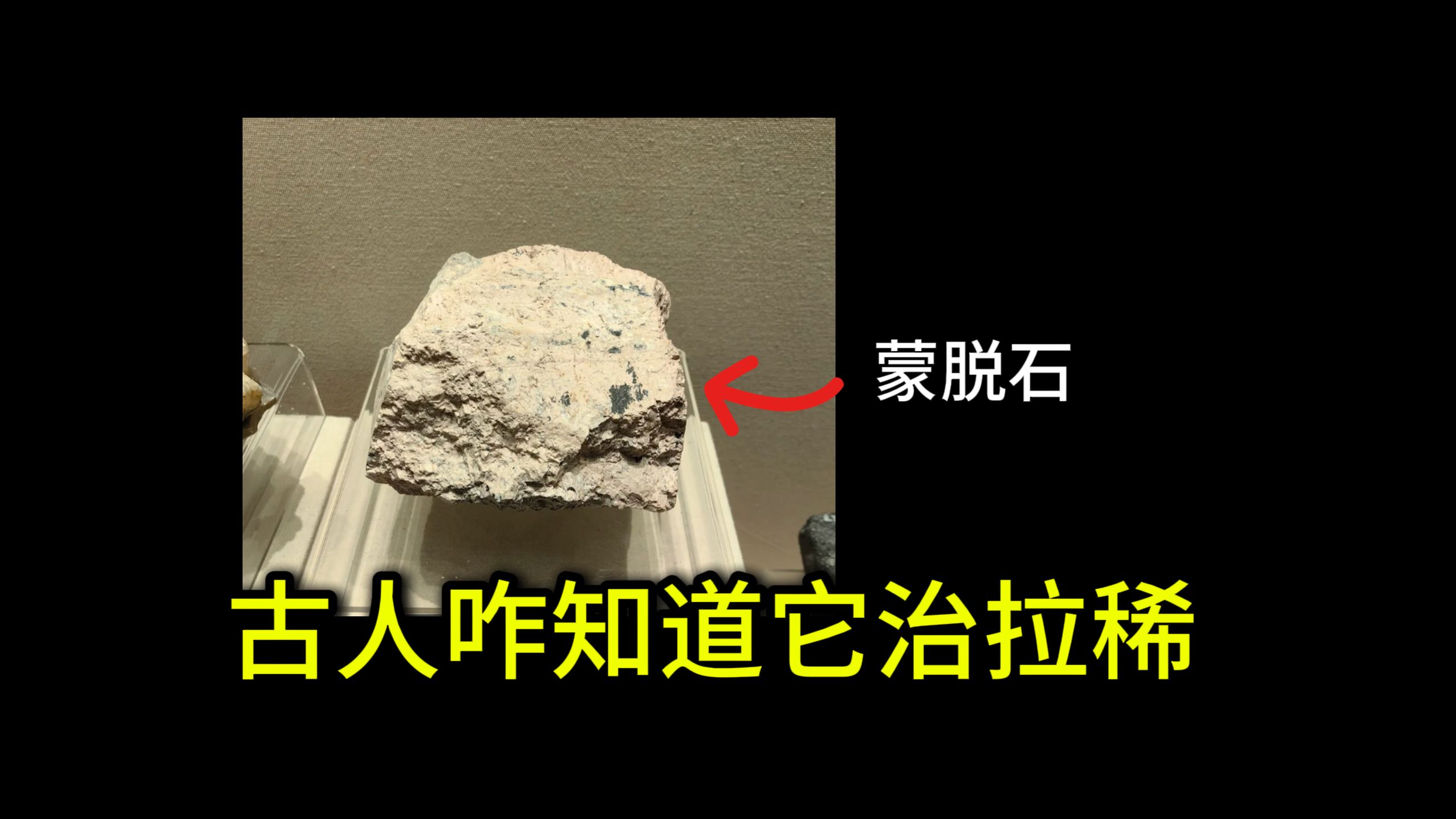 人用猫砂，蒙脱石