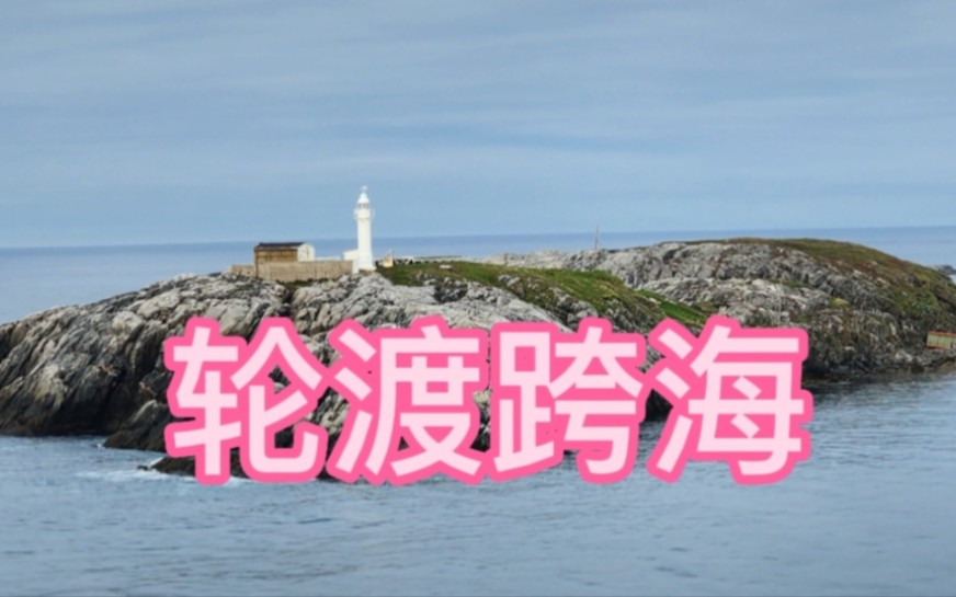 加拿大卡尔加里移民生活2023海洋四海行第四站跨海轮渡一夜到达纽芬兰岛哔哩哔哩bilibili