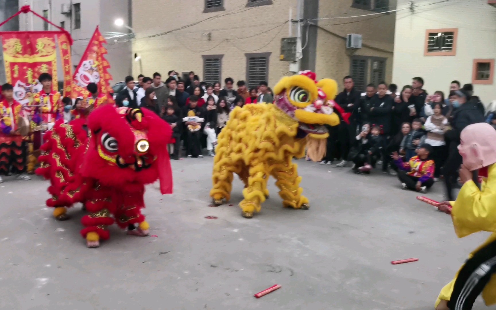 汕尾新式醒狮(龍顺馆)