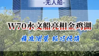 无人船交付前测试