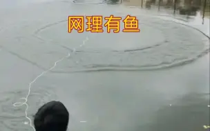 Descargar video: 飞网中鱼