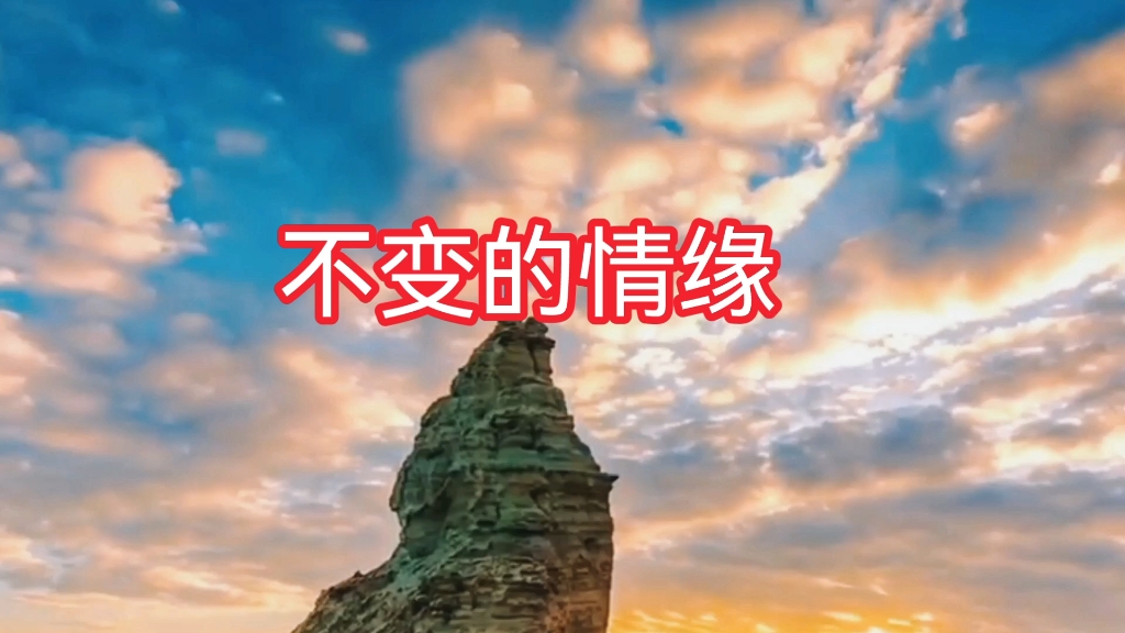 经典歌曲《不变的情缘