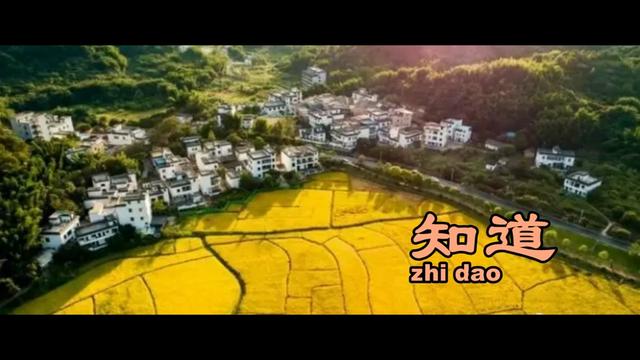 [图]非常接地气儿的歌 唱出了人世间的悲欢苦乐《知道》王红梅（MV）