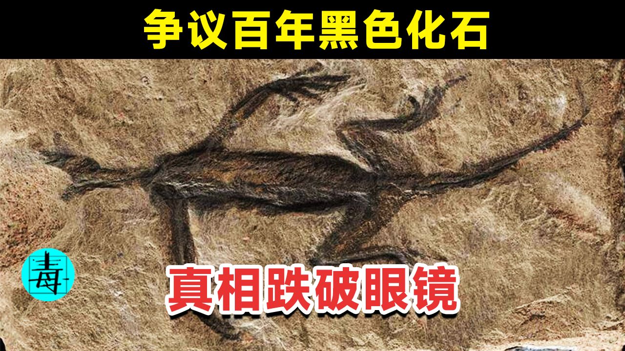 "不存在的恐龙?":德国森林霸王龙化石及神奇宝贝化石的惊人发现与真相