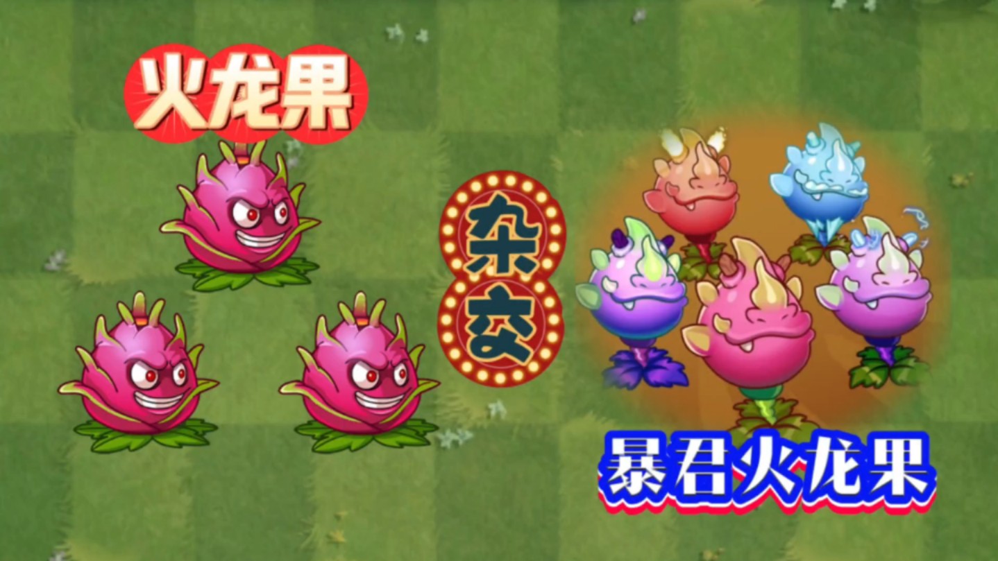 pvz2:火龙果三合一杂交,暴君火龙果登场网络游戏热门视频