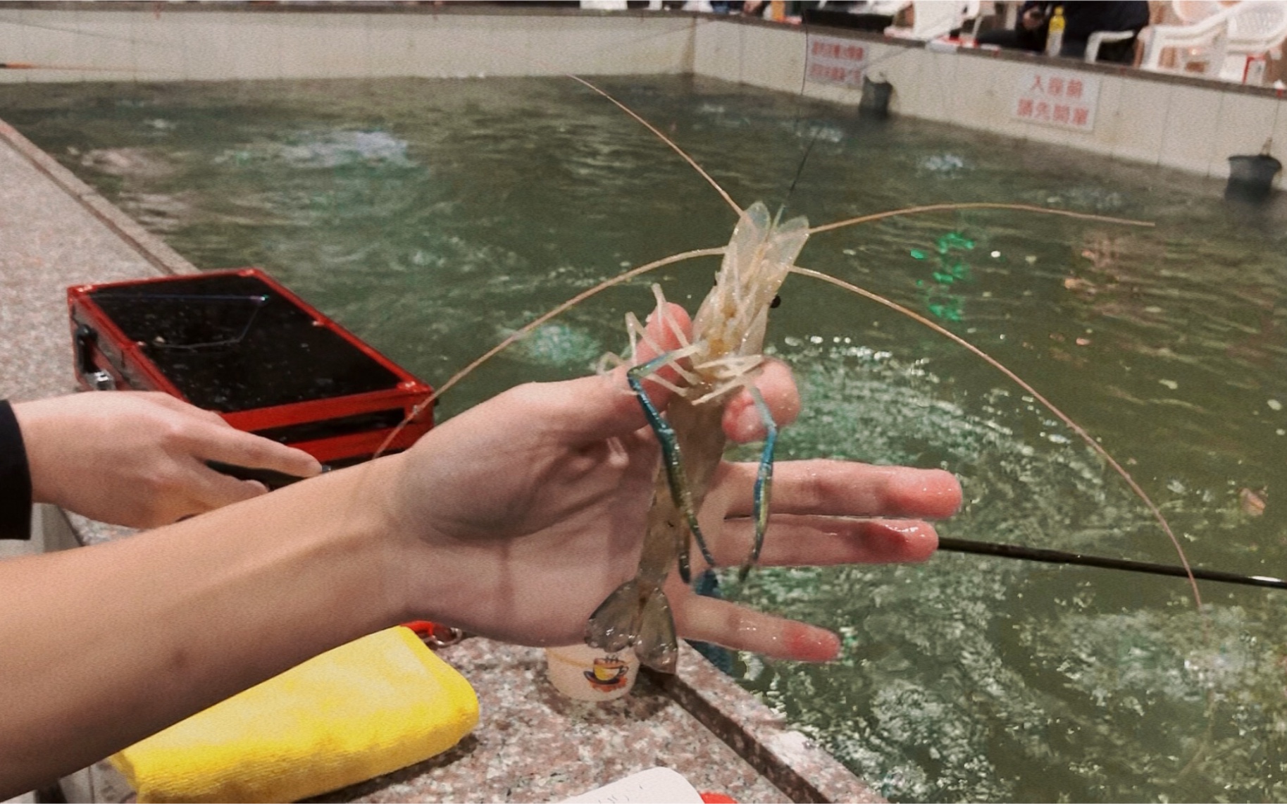 台湾热门娱乐之一:钓虾子!陪老公3个小时钓了57只!