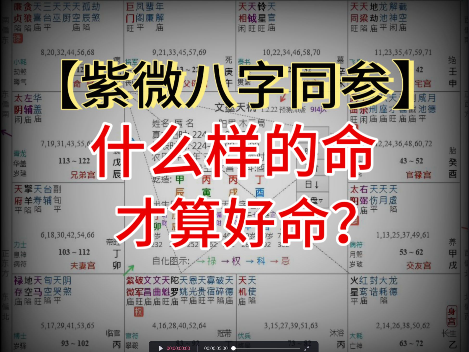 紫微案例 好命有什么样的特征?【紫微案例批盘】【紫微四柱同参】哔哩哔哩bilibili