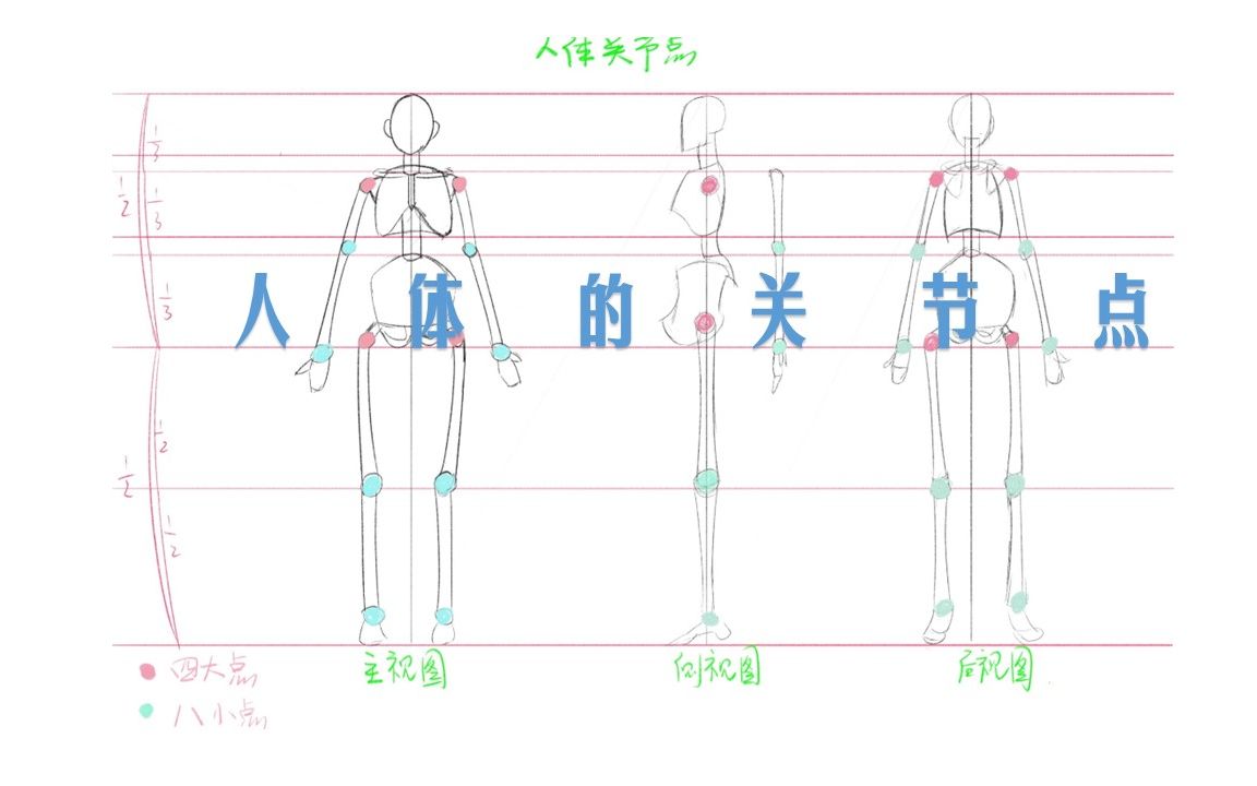 [图]【从零开始学人体 】 | 人体的关节点 | 梦开始的地方