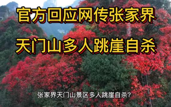 张家界天门山景区多人跳崖自杀?当地回应:已成立专案组调查哔哩哔哩bilibili