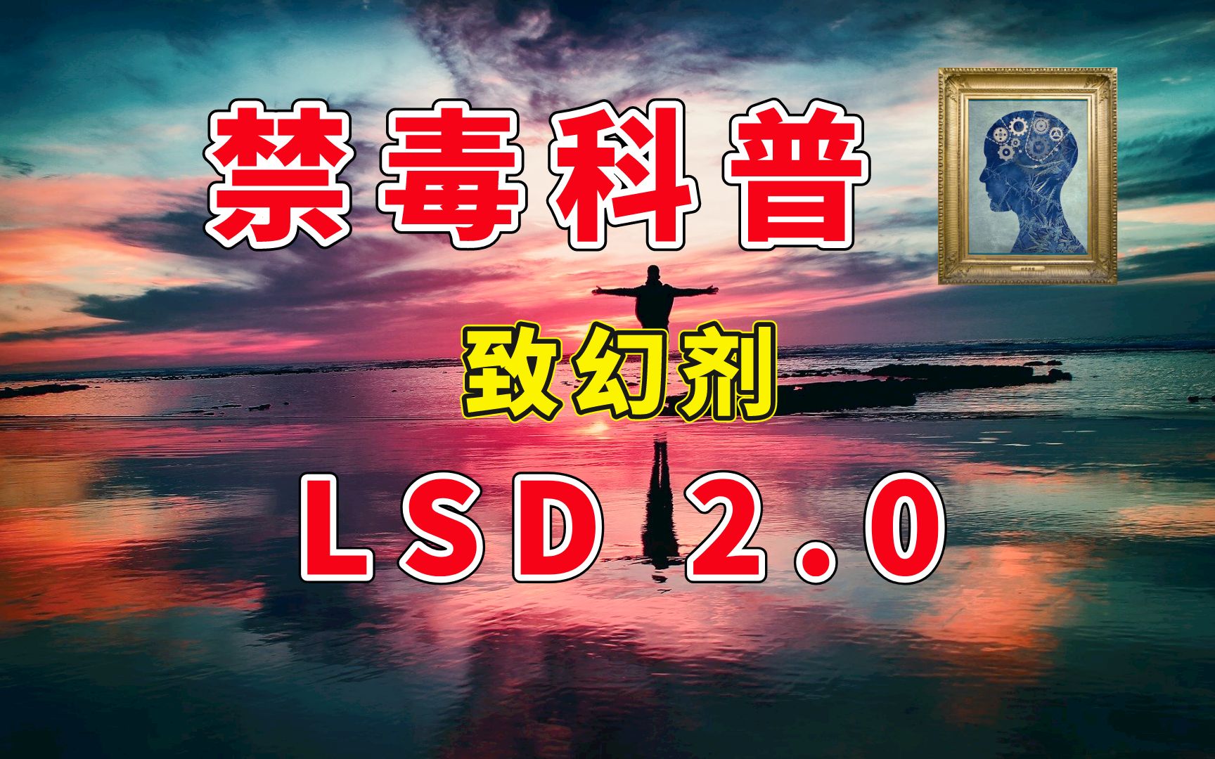 【禁毒科普】新型毒品:致幻剂 LSD 2.0 (STP/DOM与嬉皮士)哔哩哔哩bilibili