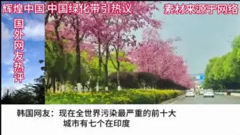 Descargar video: 我们觉得很平常的马路绿化带竟让外国网友热议了