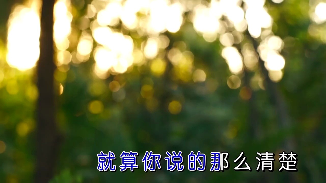 【宝声ktv】王琪《烟花叹》