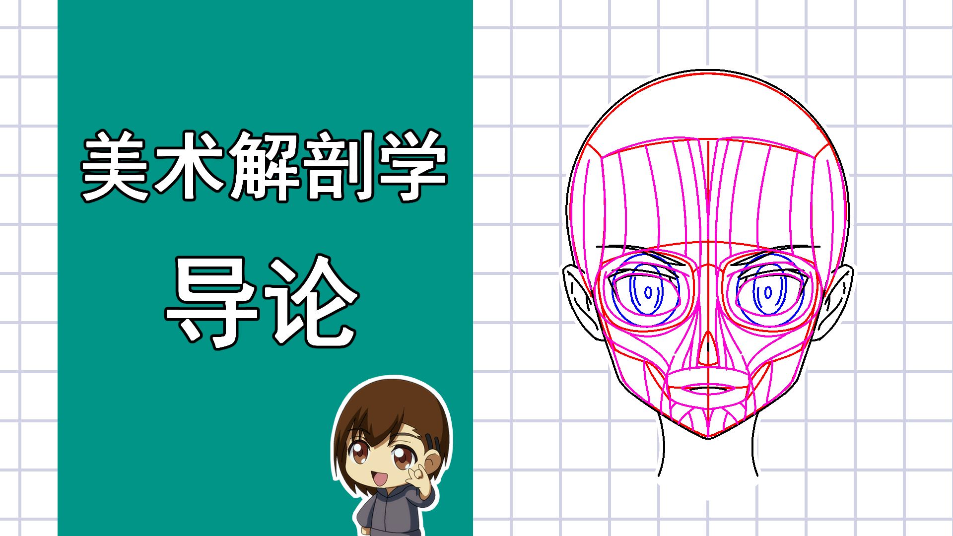 美术解剖学-1-导论