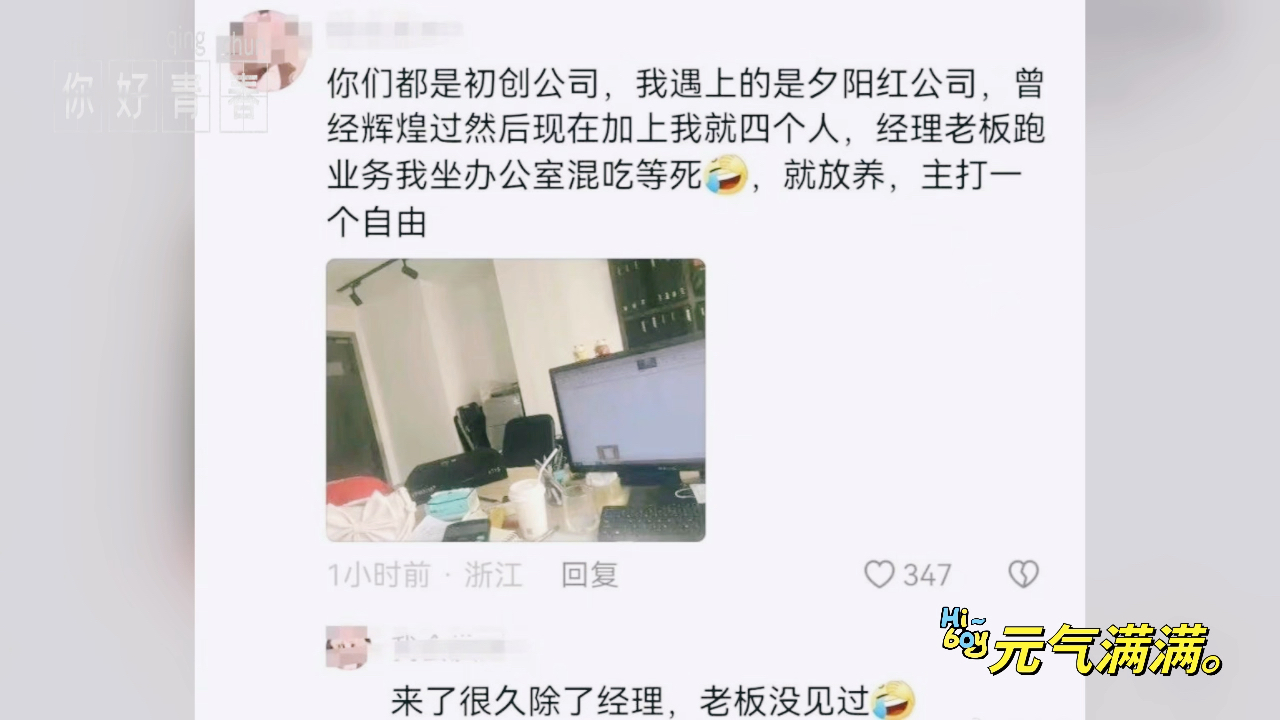 “这种小而美的公司到底哪里去找?我真的很需要……”哔哩哔哩bilibili