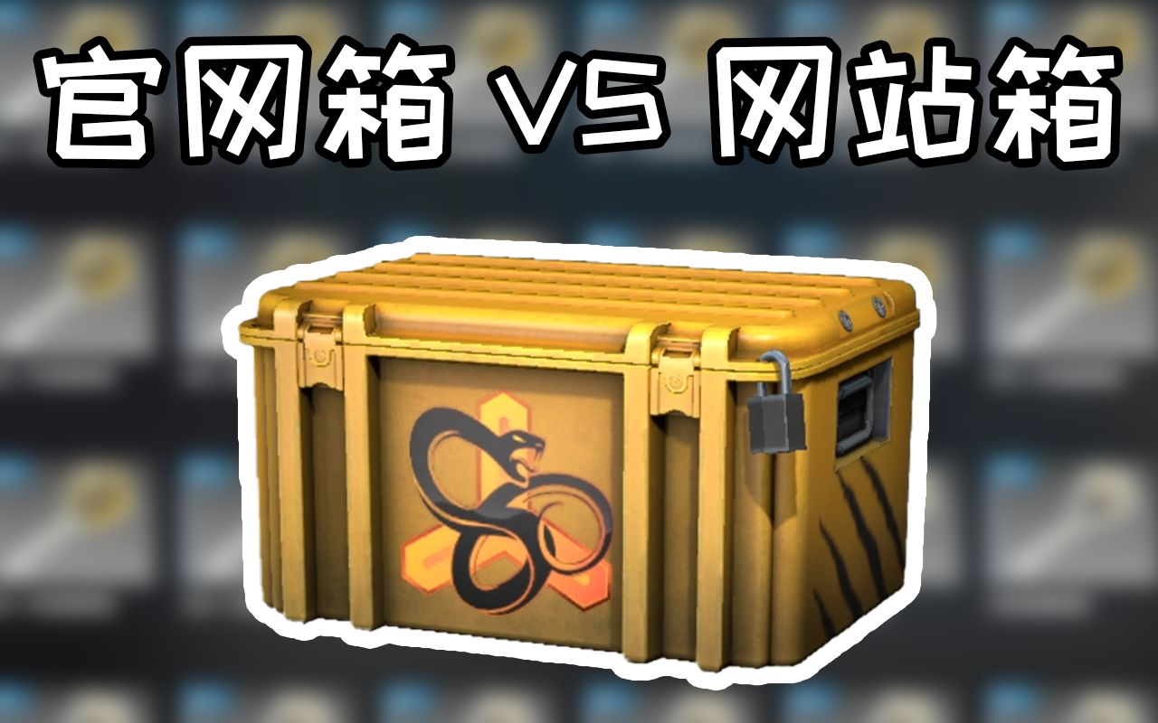 [图]【CSGO开箱】up亲自体验官方和开箱网开箱，哪个更赚？