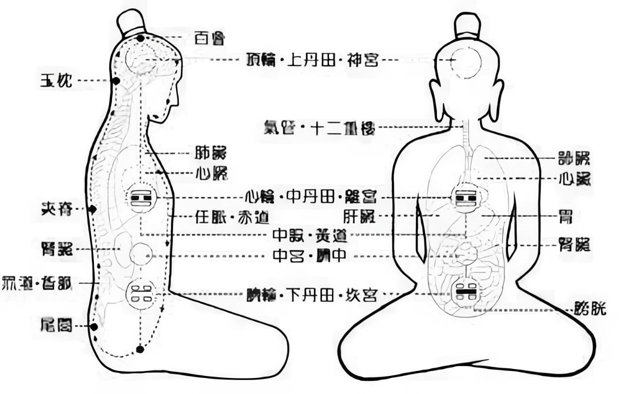 [图]比好莱坞电影更精彩的古中医人体游记