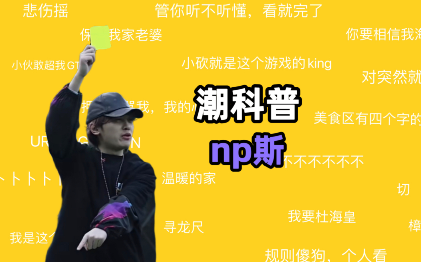 np斯是什么梗【潮科普】哔哩哔哩bilibili