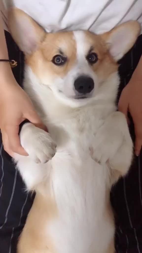 听说这是男孩子都要会的撩妹手势