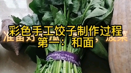 手工饺子制作过程哔哩哔哩bilibili