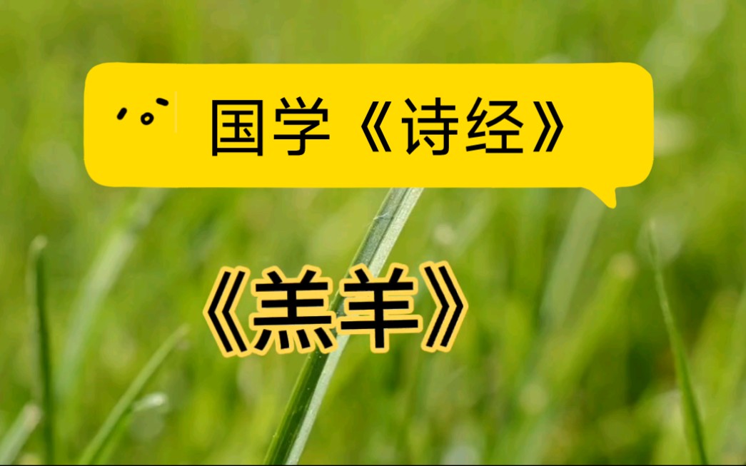 [图]小粽子读国学经典《诗经·召南·羔羊》赏析