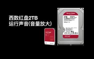 Download Video: 西数红盘运行声音 [WD20EFAX]