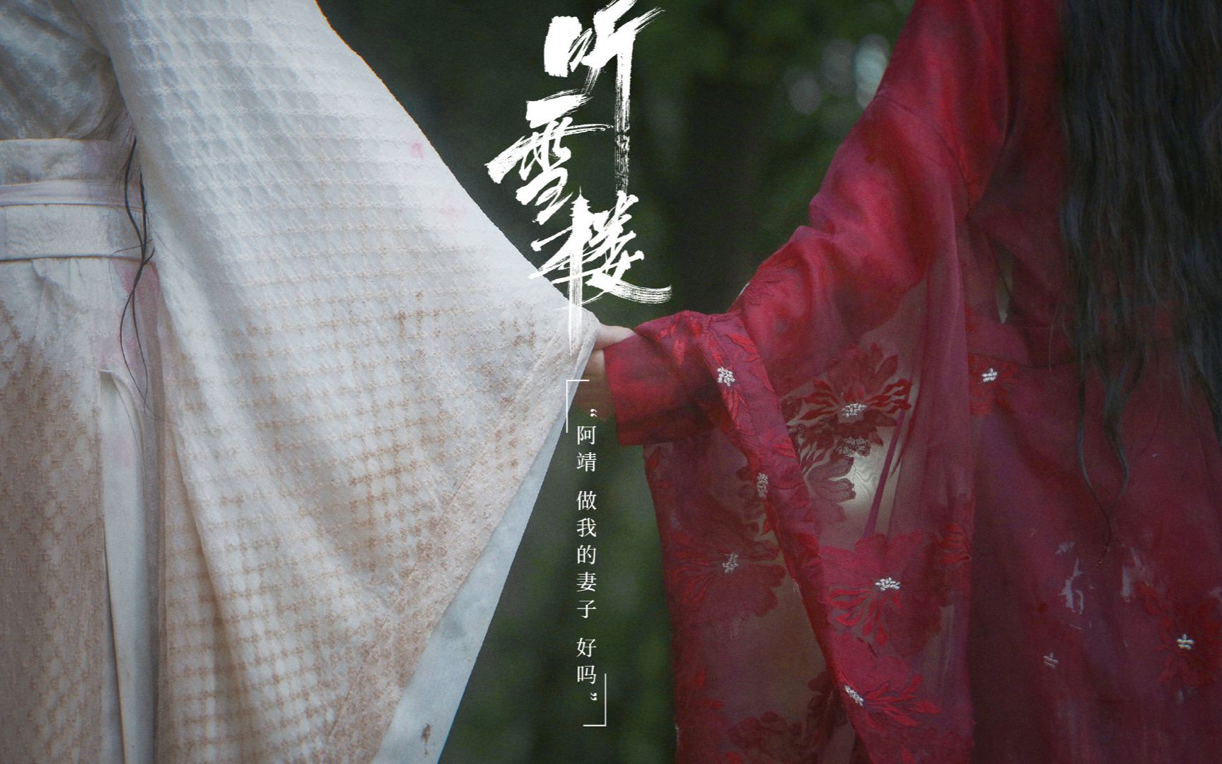听雪楼小说 B站