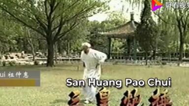 名家名拳】三皇炮捶拳教学系列——张汉文_哔哩哔哩_bilibili