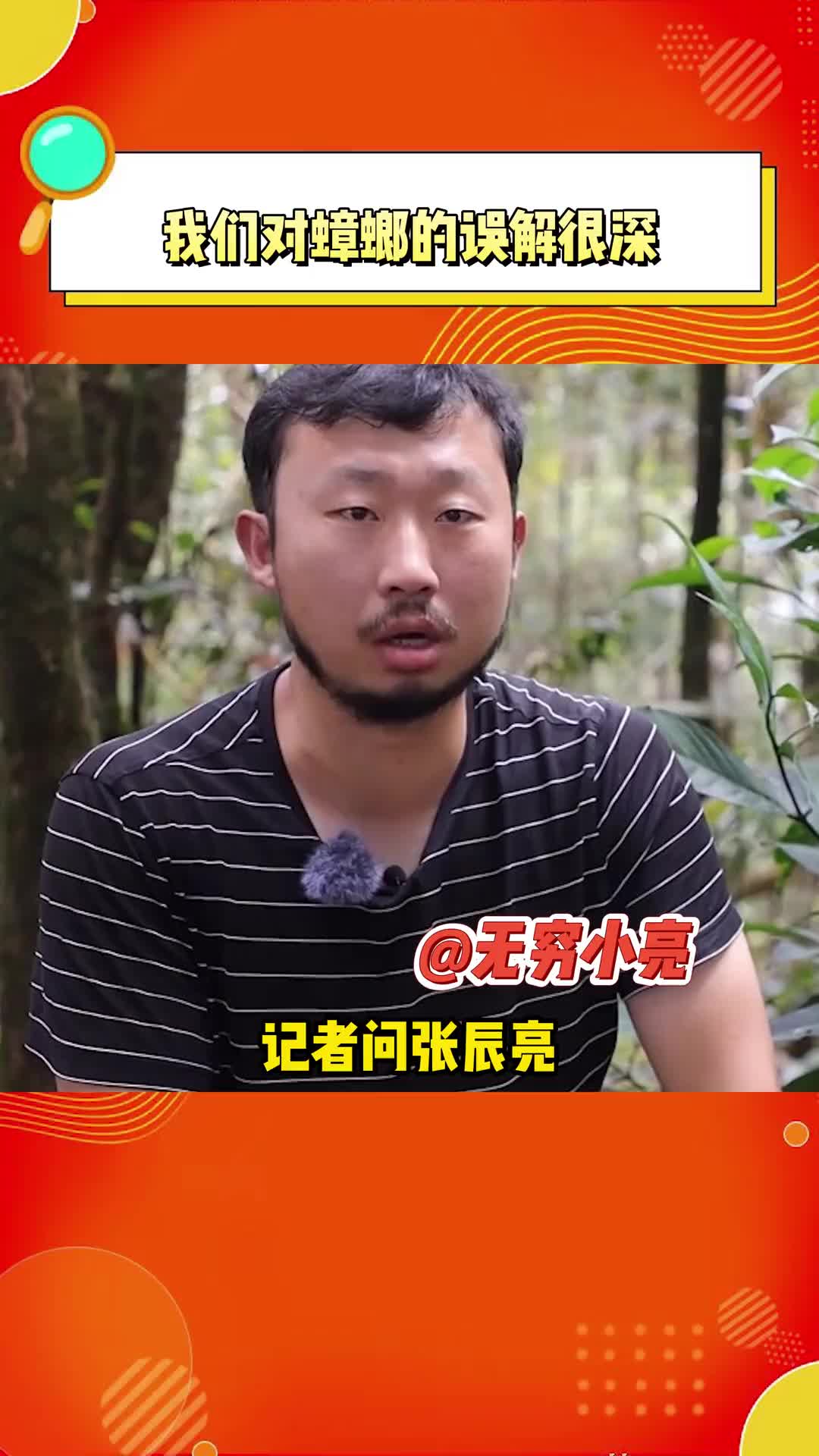 张辰亮蟑螂是干净的友善的有益的吧啦吧啦弄死娱乐评论大赏