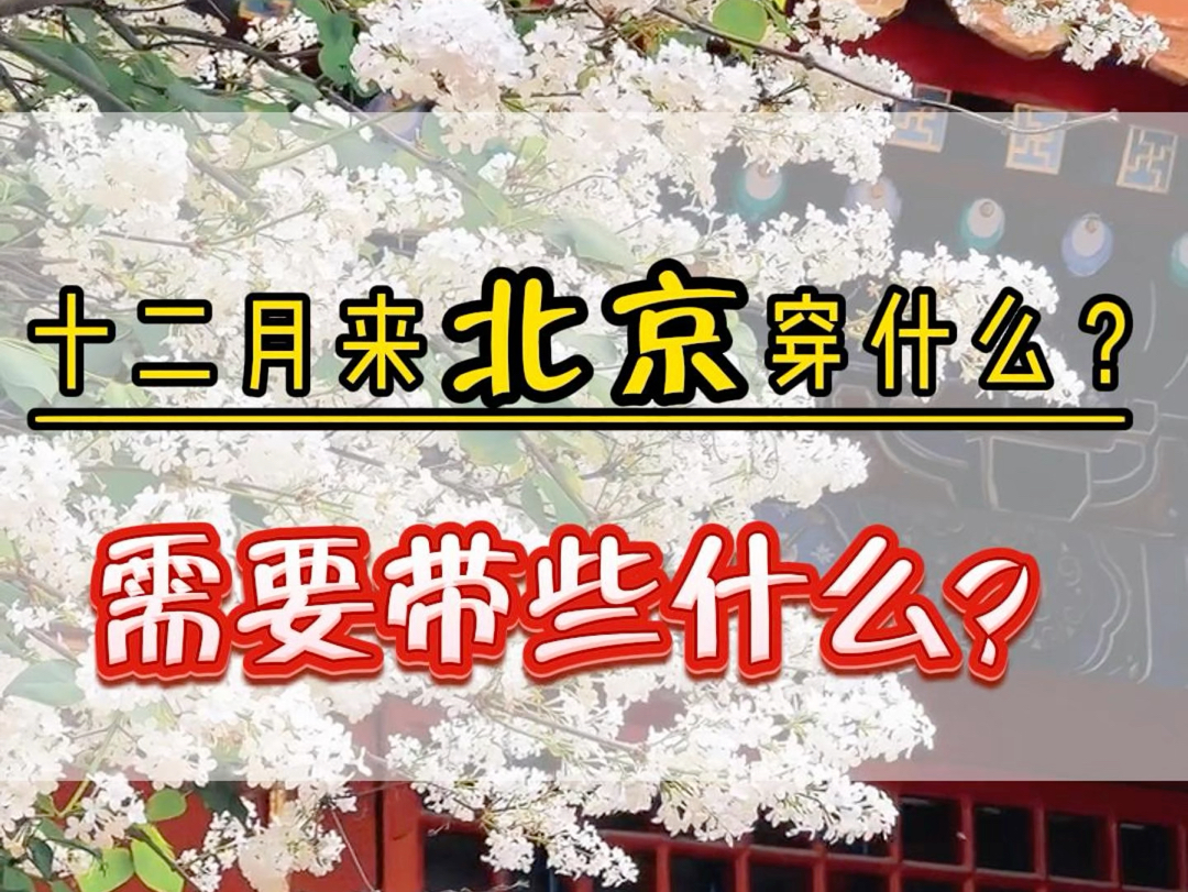 12月份来北京需要穿什么样的衣服 带哪些装备 应该怎么玩.看完这期视频对您来北京之旅肯定有帮助,记得收藏好哦!#北京旅游攻略 #北京旅行 #故宫 #八...