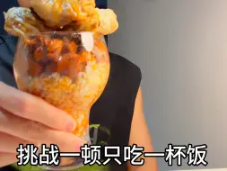 Download Video: 挑战一顿只吃一杯饭第八期——红烧肉拌饭