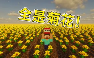 Video herunterladen: MC当整个地图都是菊花！挑战用肝换取资源活下去！我的世界Minecraft