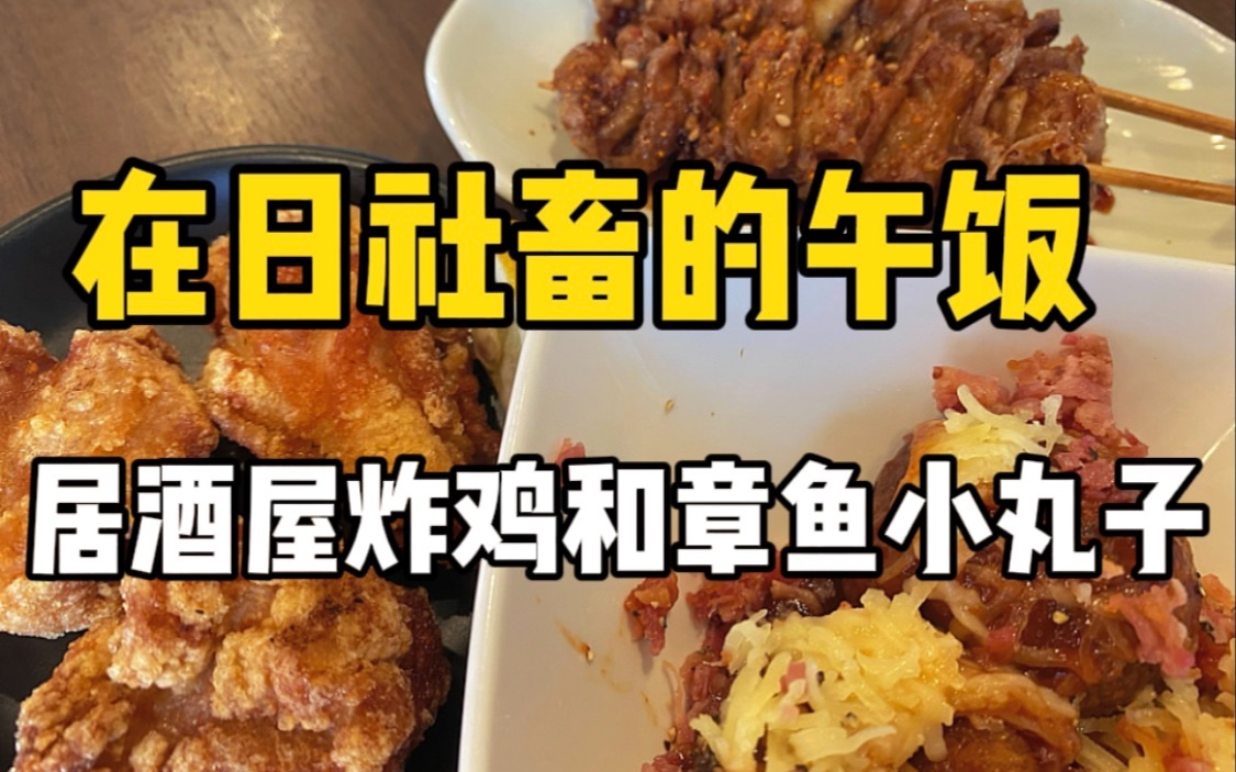 在日本居酒屋用1500日元可以吃到什么?培根章鱼小丸子美味炸鸡和鸡皮串串.哔哩哔哩bilibili