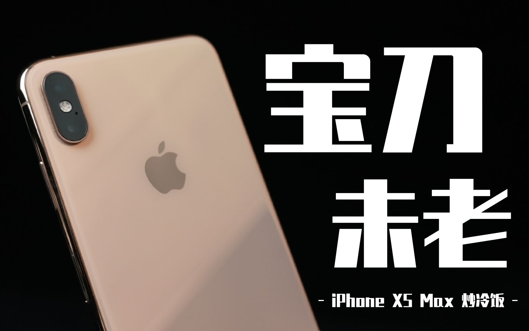 「冷饭」最后的S+最早的Max,今天还能打!/iPhone XS Max炒冷饭