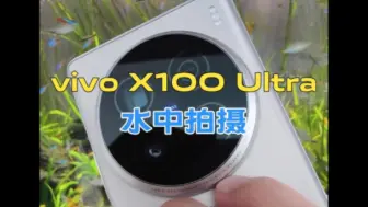 Download Video: 感受一下vivo X100 Ultra的水下拍摄！