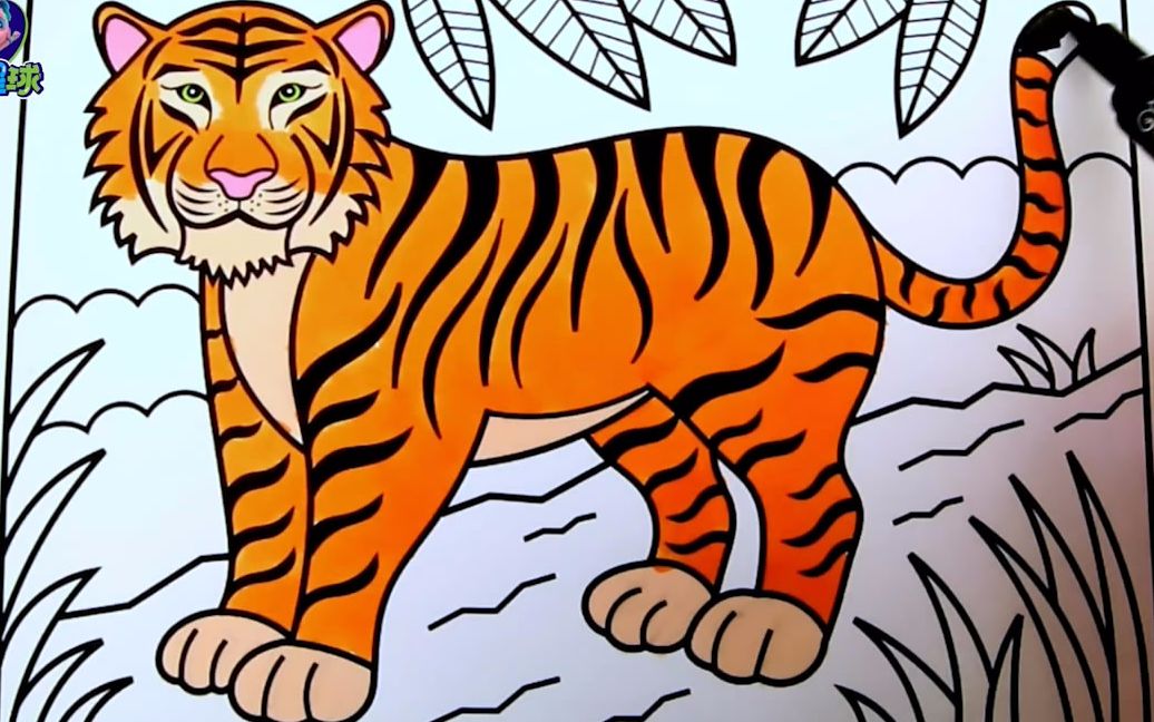 老虎怎么画 涂色一只图片