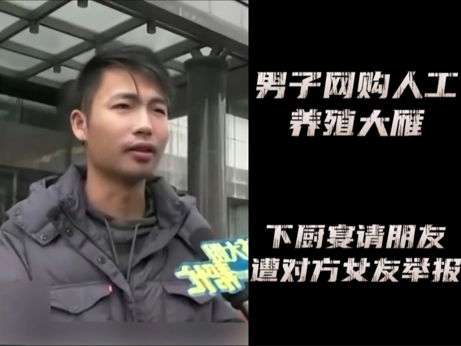 男子网购人工养殖大雁宴请朋友，却遭对方女友当场举报