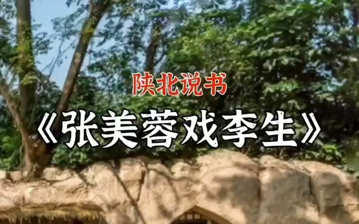 陕北说书《张美蓉戏李生》陕北酸曲