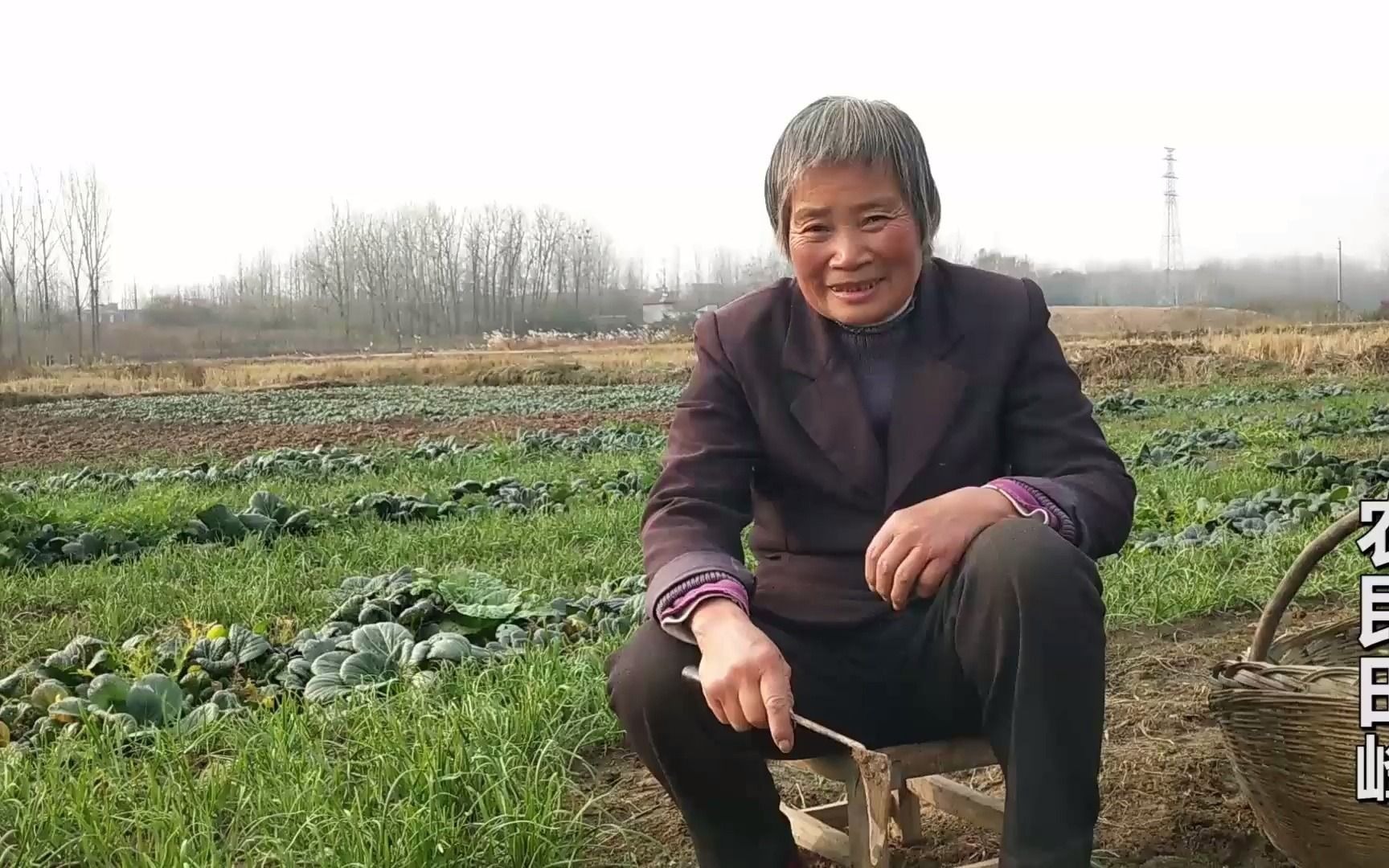 农村72岁老奶奶卖菜生活,老伴对她说句啥话?奶奶高兴的合不拢嘴