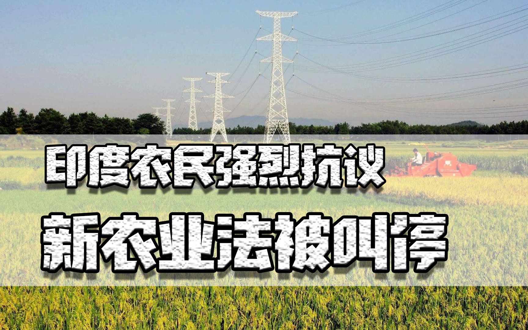 在印度有什么比防疫更重要?印度农民强烈抗议,新农业法被叫停哔哩哔哩bilibili