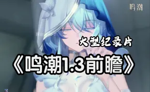 Download Video: 【鸣潮】大型纪录片《鸣潮1.3前瞻》！省流版~