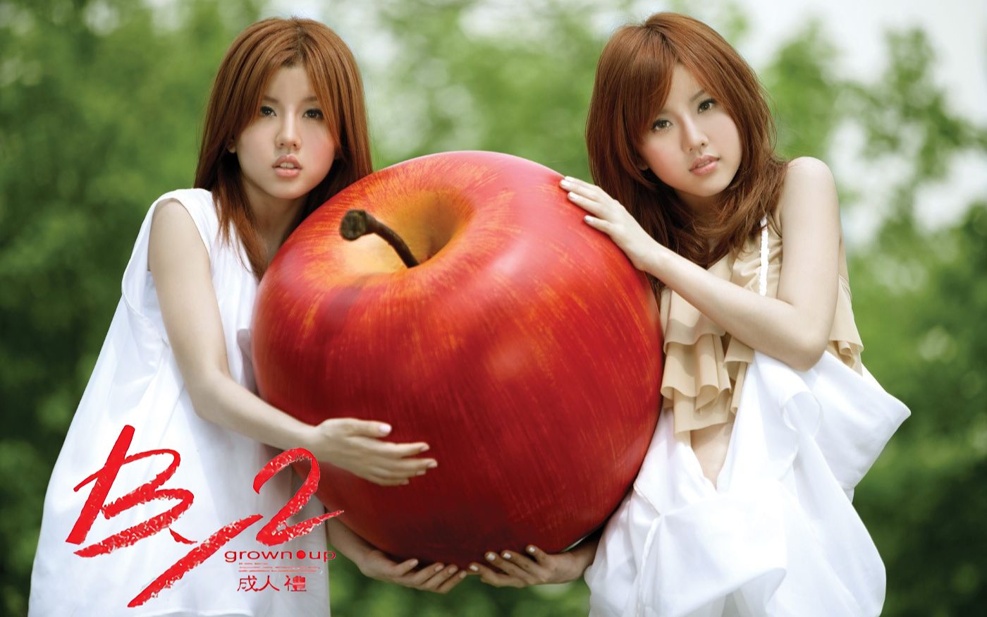 【高清修复】by2《成人礼》专辑 [这叫爱(中/英) 大人的世界 爱上你