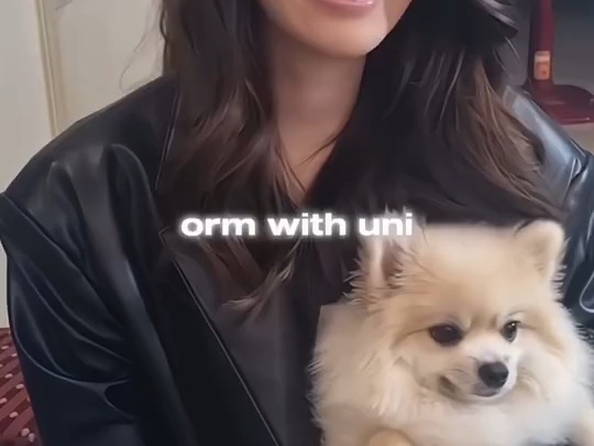 【orm】orm with uni~哔哩哔哩bilibili