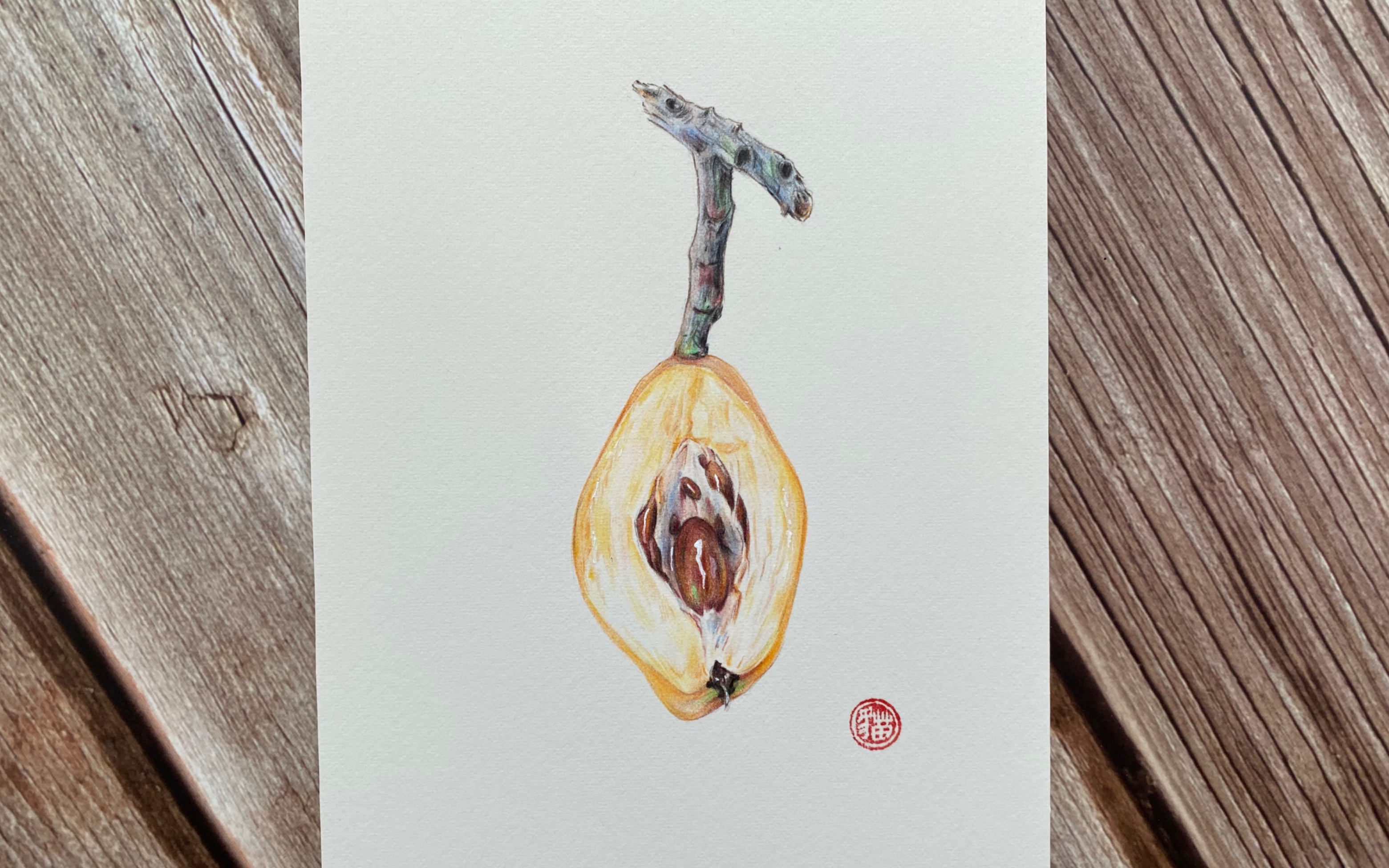 彩铅枇杷,赞一个.