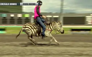 Download Video: 2019年武丰纪念（2019 Emerald Downs Zebra Race）